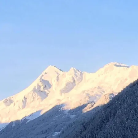 In Neustift In A Quiet Location 公寓